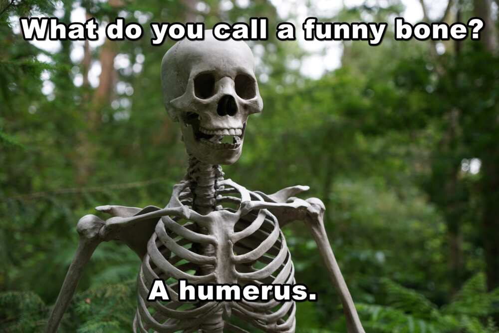 Bone jokes