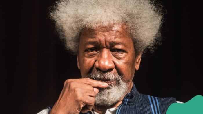 Soyinka drops bombshell, alleges plot to annul 2023 polls: "History was about to repeat itself"