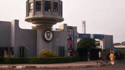Fuel Subsidy Removal: University of Ibadan Directs Staff to Work 3 Days Per Week