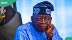 Supreme Court to sack Tinubu as president? Here's what we know as APM files fresh suit