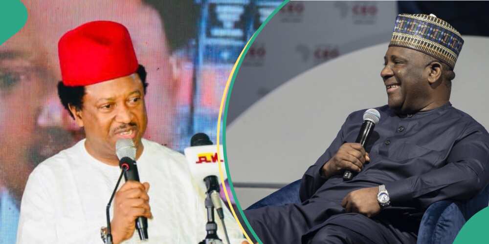 Shehu Sani, BUA Shehu Sani, BUA
