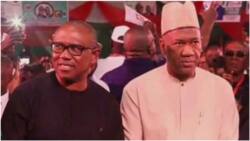Peter Obi drops another bombshell, promises to stop “drivers that don’t know where we are going”