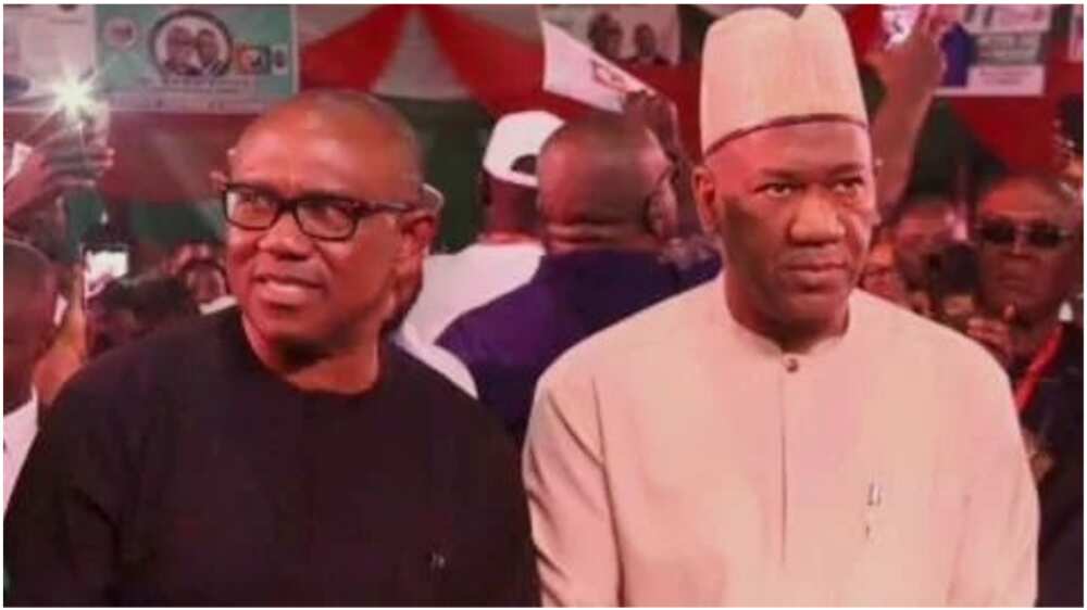 Peter Obi/Reno Omokri/PDP/Labour Party/2023 elections