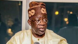 2023 presidency: 3 remarks Tinubu has made that can be used against him