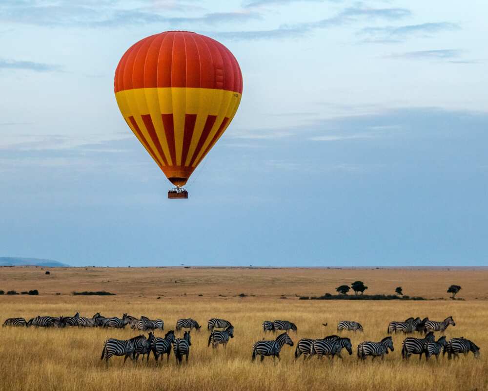 travel and pay later agencies in nigeria travel and pay later agencies in nigeria