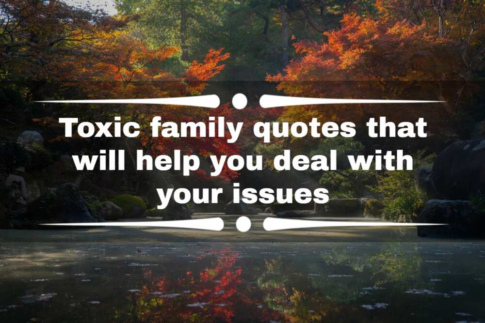 toxic family quotes
