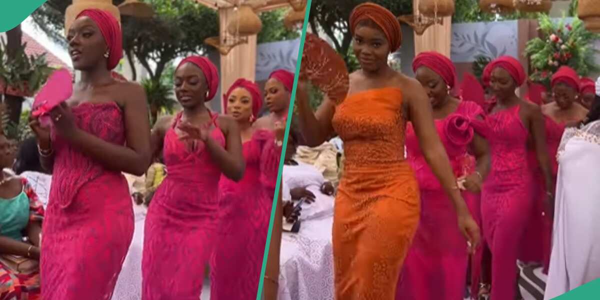 Check out the decent and beautiful styles some asoebi ladies wore to a wedding (video)