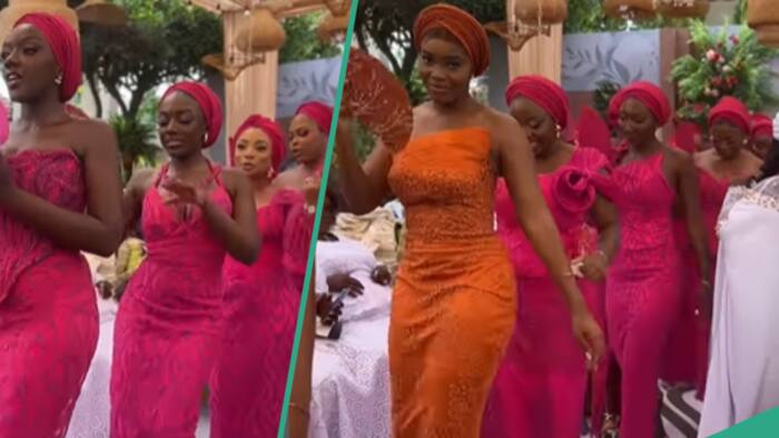 Asoebi ladies give netizens style inspiration with their gorgeous attire: "Classy and decent"