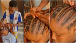 "Very neat work": Talented boy working as hairstylist weaves beautiful hair for young lady, video goes viral