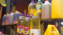 Updated: Legit.ng weekly price check: 25-litre of vegetable oil sells for N26,000, palm oil N24,000 in Lagos market