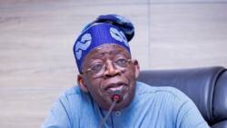 Kungiya Ta Gabatarwa Tinubu Aikin Farko Da Ta Ke Son Ya Yi Da Zarar Ya Shiga Ofis