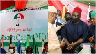 North or South? PDP Shifts Decision on Zoning of Presidential Ticket
