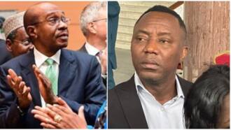 Da sauran rina a kaba: Sowore ya bayyana sunayen abokan cin mushen Emefiele