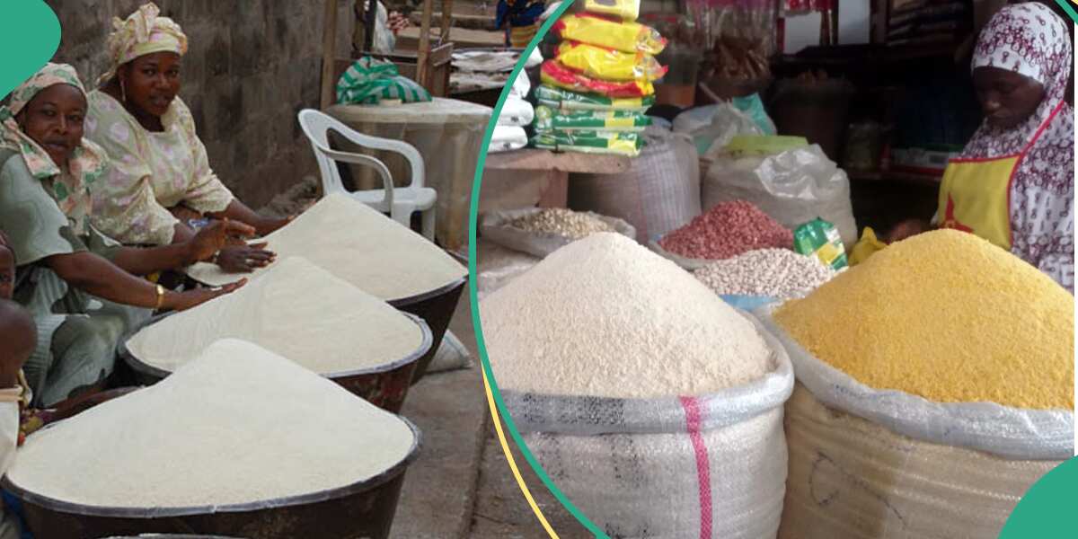 Nigerians raise alarm as price of garri soars to record high