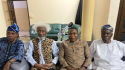 Soyinka gives reason for visiting Sunday Igboho in Benin Republic, photo stirs reactions
