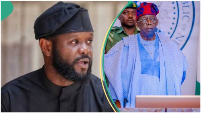 "That is not acceptable": Mixed reactions as Tinubu calls out his son Seyi in trending video