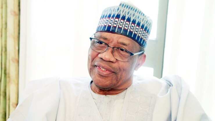 I am not looking for a wife - IBB