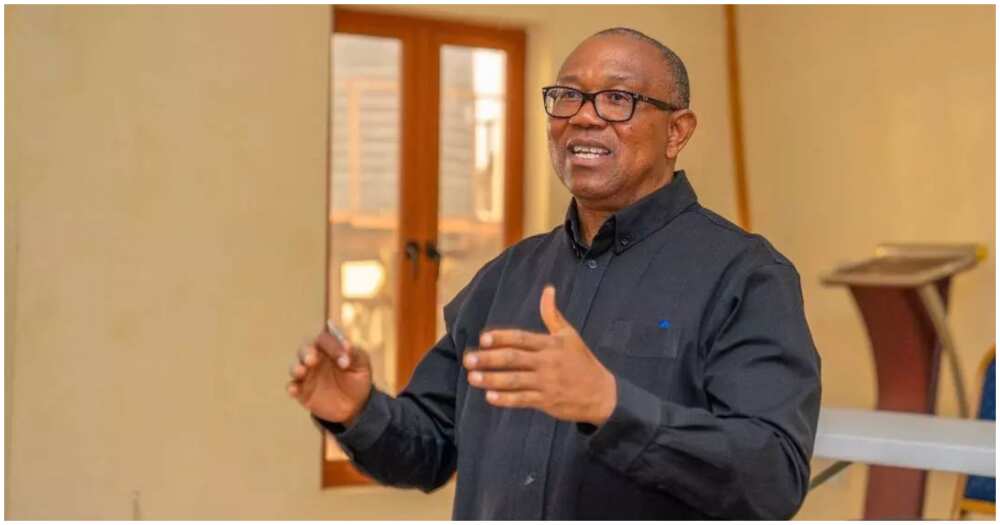peter obi/peter obi news peter obi/peter obi news