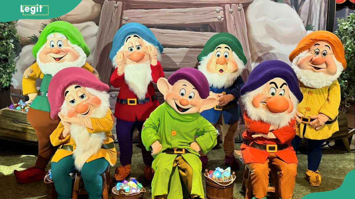 7 Dwarfs Names From Snow White Their Personalities And Fun Facts Legitng 