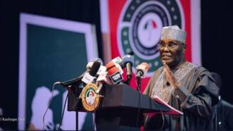Atiku speaks after Wike's outburst, reveals how PDP will win in 2023
