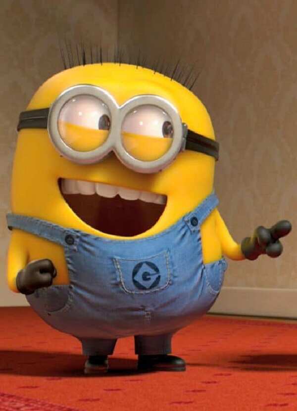 minion pointing and laughing