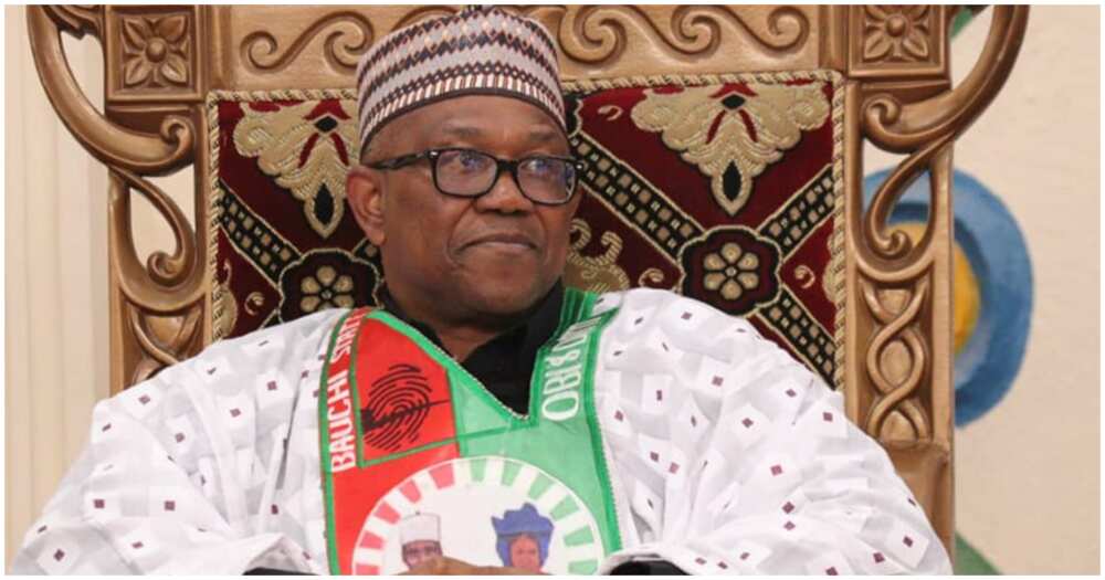 Peter Obi/Tribunal Peter Obi/Tribunal