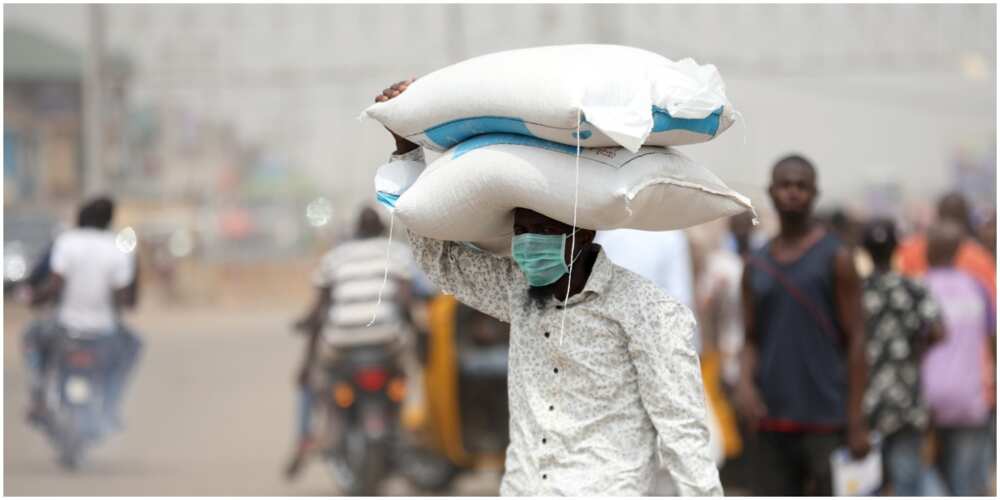 High cost of rice caused by dollar rise, the President of Nigerian Rice Farmers Association, Aminu Goronyo says