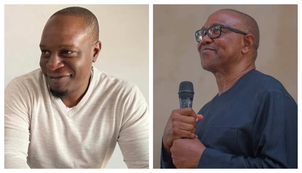 Onochie, Peter Obi, PDP, Labour Party, Delta State