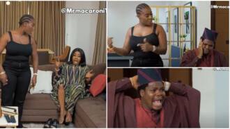 Beryl TV e9d6f1233eb3a239 Broda Shaggi, Sabinus, and 3 Others Are the Most-Watched and Richest Male Skit Makers in Nigeria 