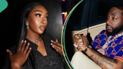 Davido’s alleged ex-bae Anita Brown flaunts ticket to singer’s concert, netizens react: “Obsessed”