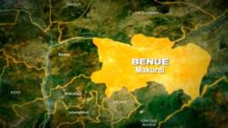 Alleged Organ Harvesting: 20-year-old man arrested, arraigned in Benue State