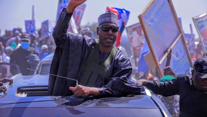 APC roars to victory in prominent northern state, winning all 28 assembly seats
