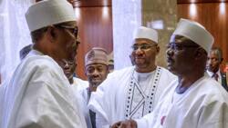ASUU: Powerful northern senator tells Buhari to slash salaries of lawmakers to meet union’s needs