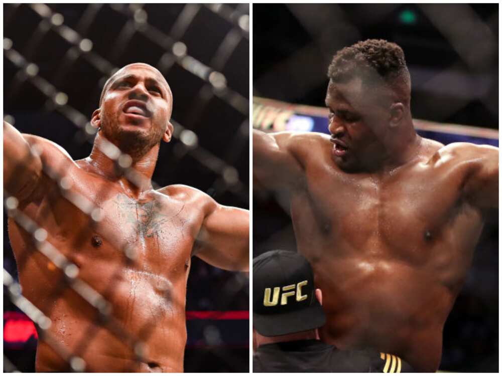 Francis Ngannou et Cyril Gane.