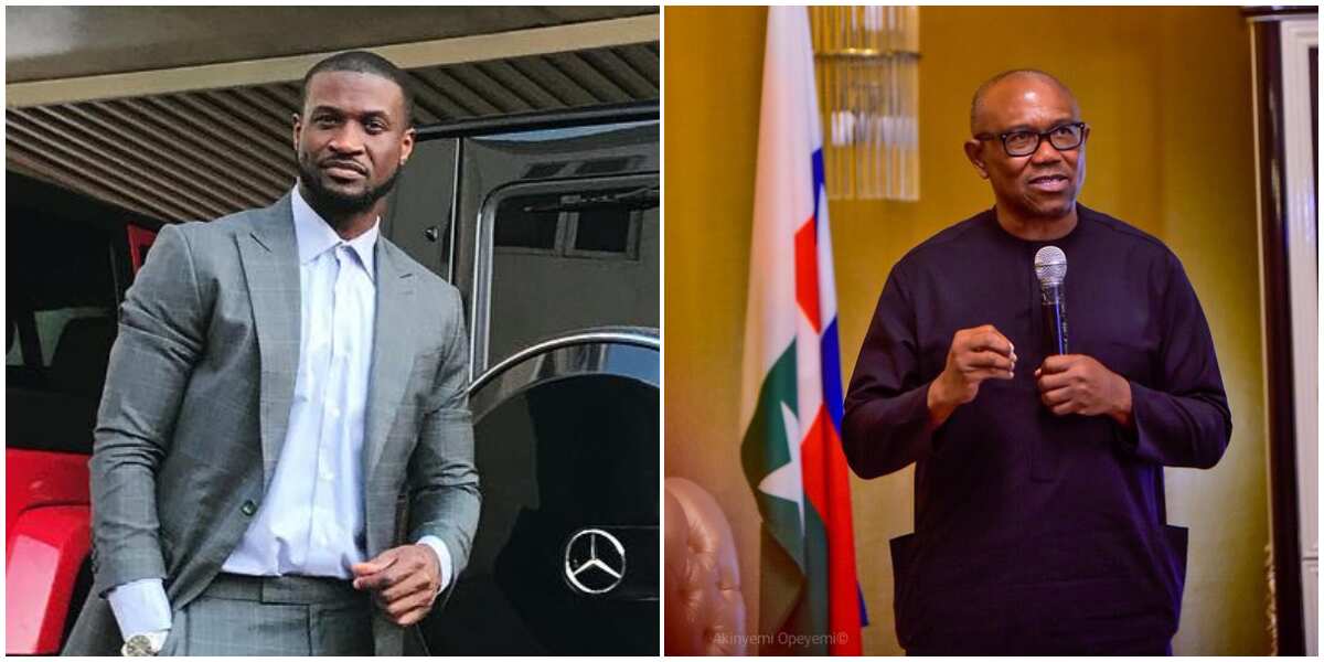 He's the Most Qualified: Peter Okoye Sparks Reactions As He Goes All Out to  Campaign for Peter Obi - Legit.ng