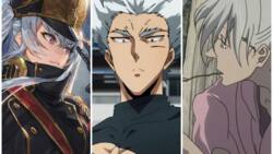 50 white-haired anime characters that are absolutely iconic