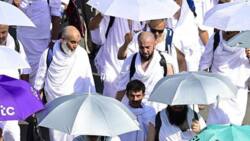 COVID-19 resurgence, strong weather, 5 highlights as Hajj enters final stage