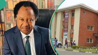 Lead British School: Shehu Sani discusses why private schools tolerate bullying among students