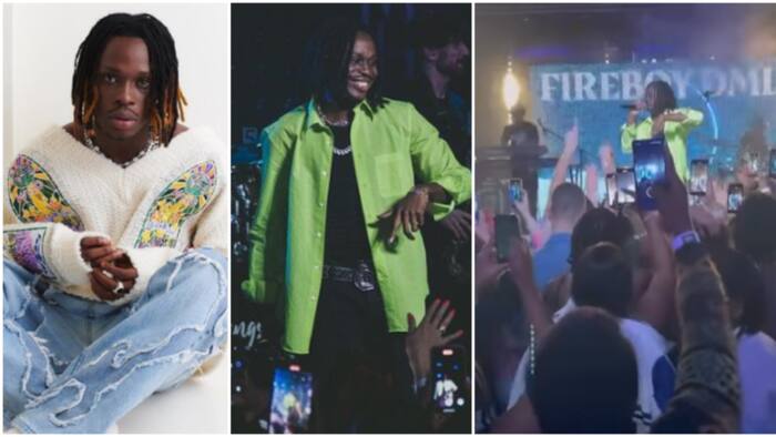 Afrobeats to the world: Fireboy thrills Oyinbo fans in Poland with stellar performance as they scream along
