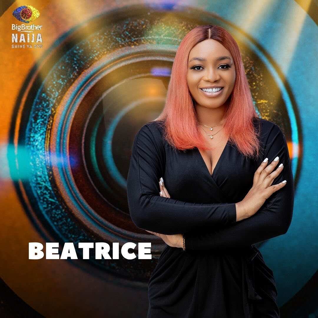 BBNaija housemates 2021 who are the season 6 contestants Legit.ng