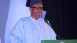 Buhari: Dalilan da suka sa rashin tsaro ba zai hana masu zuba hannayen jari zuwa Najeriya ba