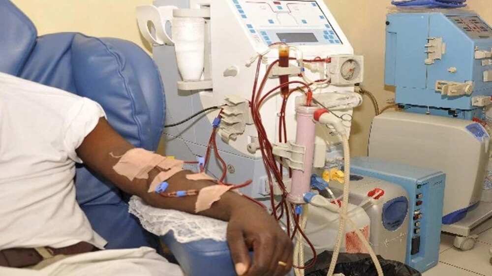 Dialysis, Kano State
