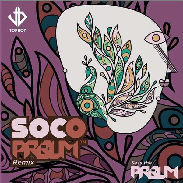 Sess ft. Wizkid – Soco (PRBLM Remix)