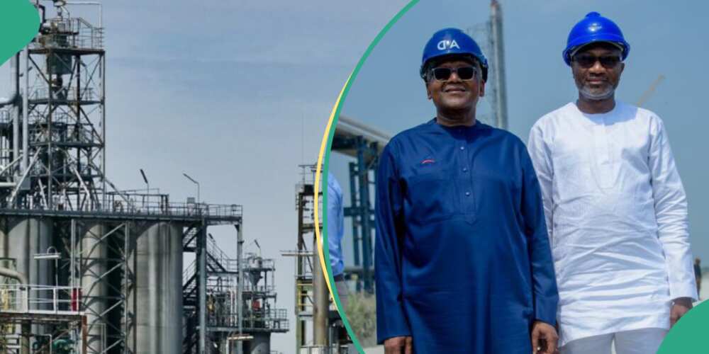 Femi Otedola calls Dangote Refinery '8th wonder of the world' after visiting plant