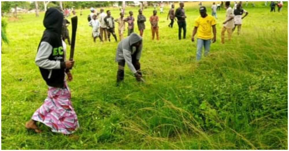 Christians clear grass at Eid ground. Christians join Muslims to clear grass/ Eid praying ground