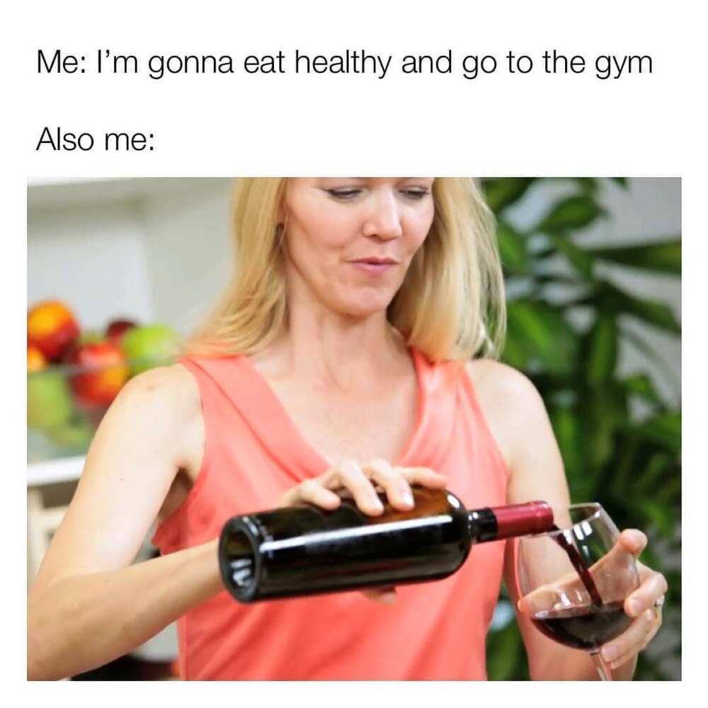 wine memes wine memes