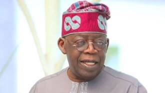 Why Tinubu might be disqualified from participating in 2023 presidential election
