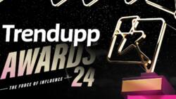 Trendupp Awards Return For A Fourth Edition. Nominations Now Open!