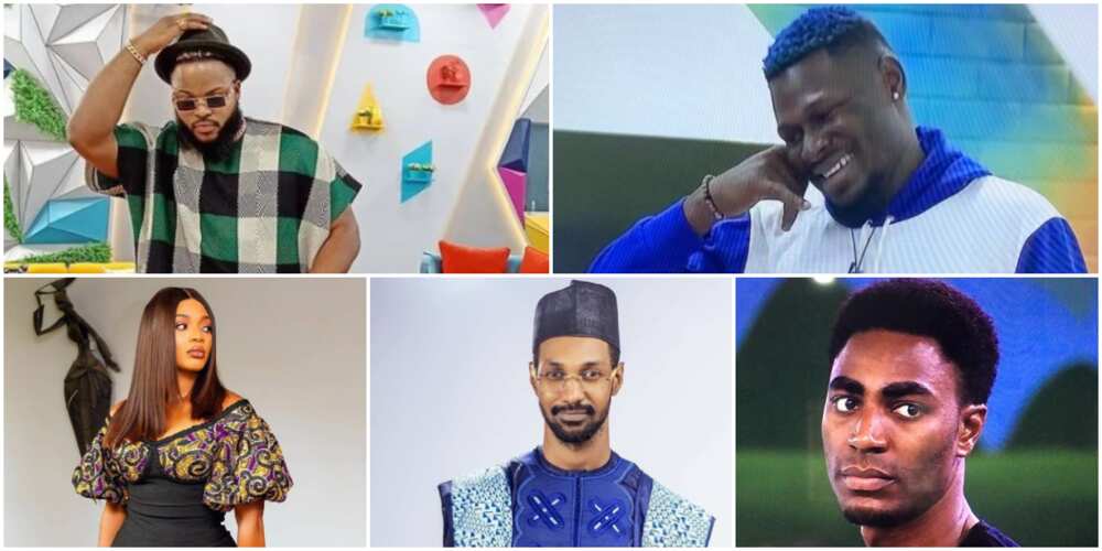 Whitemoney, Yousef, Niyi, 2 Others Up for Eviction As Wildcards Maria and Pere Nominate