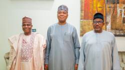2023: Saraki's campaign DG advises PDP on best approach to selecting presidential candidate
